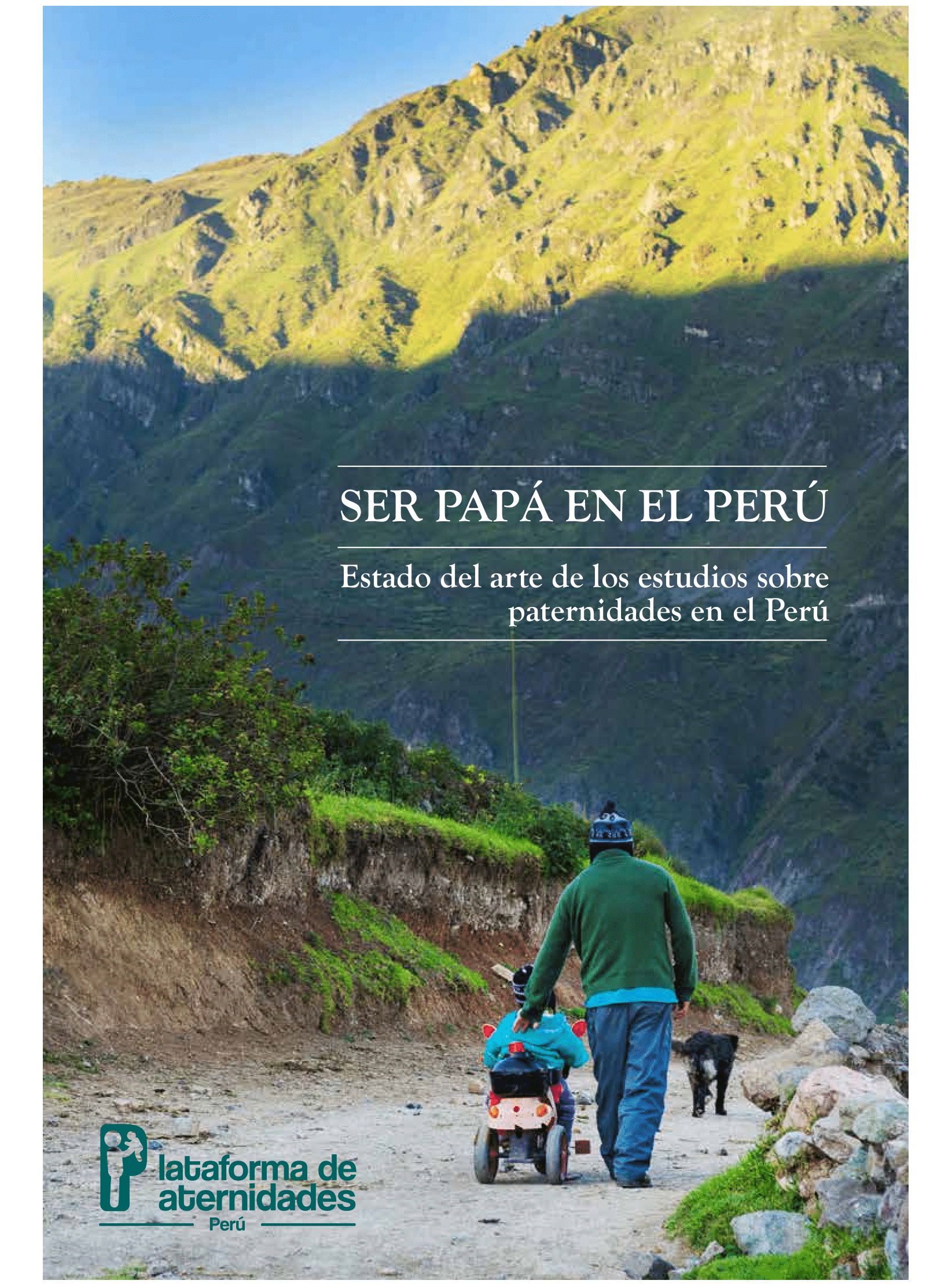 Ser papá en el Perú. Estado del arte de los estudios sobre paternidades en el Perú